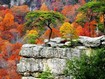 Colors of Autumn Wallpaper Collection